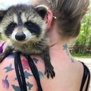 Meet your Posher, Heidi